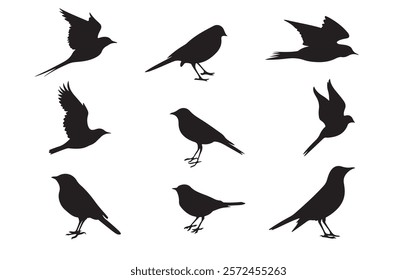 group of flying birds silhouette illustration
