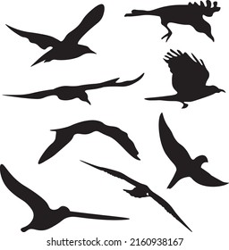Group of Flying Birds Vector