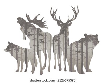 A group of forest animals with a pine forest inside. Bear, elk, deer and wolf. Vector illustration, isolated object