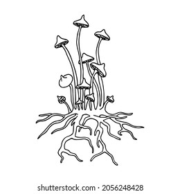 un grupo de hongos venenosos del bosque, taburetes o miel agárica, un ingrediente para pociones de brujas, ilustración vectorial con líneas de contorno negro aisladas en un fondo blanco al estilo de doodle