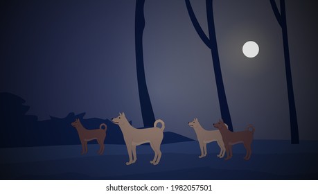 A group of foxes at night