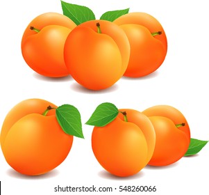 Group of fresh apricots