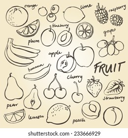 Group of fresh fruit doodle vector set