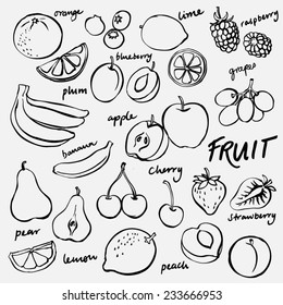 Group Of Fresh Fruit Doodle Vector Set