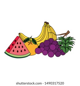 group of fresh fruits nature