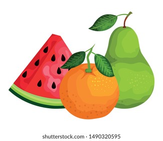 group of fresh fruits nature