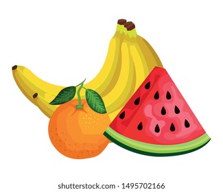 group of fresh fruits nature