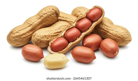 Group of Fresh Garlic Cloves: Peeled  Whole, Isolated on White, Crisp Detail