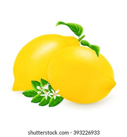 Group fresh lemons with leaf and flower isolated on white background. Realistic vector illustration.