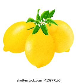 Group fresh lemons with leaf and flower isolated on white background. Realistic vector illustration.