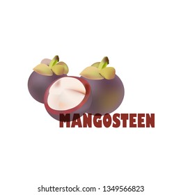 a group of fresh mangosteen, sweet and fresh cut fruit . in healthy fruit concept