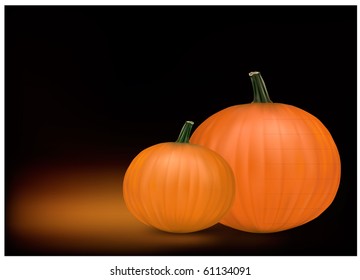 Group of fresh pumpkins. Photo-realistic vector illustration.