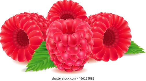 group of fresh raspberries