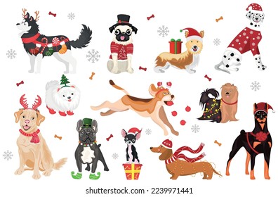 Group of funny dogs with Christmas decor and gifts on white back