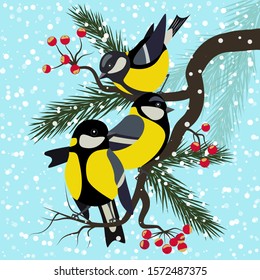Group of funny great titmouses sitting on winter branches of rowan, vector illustration. For Christmas decoration, posters, banners, sales and other winter events.