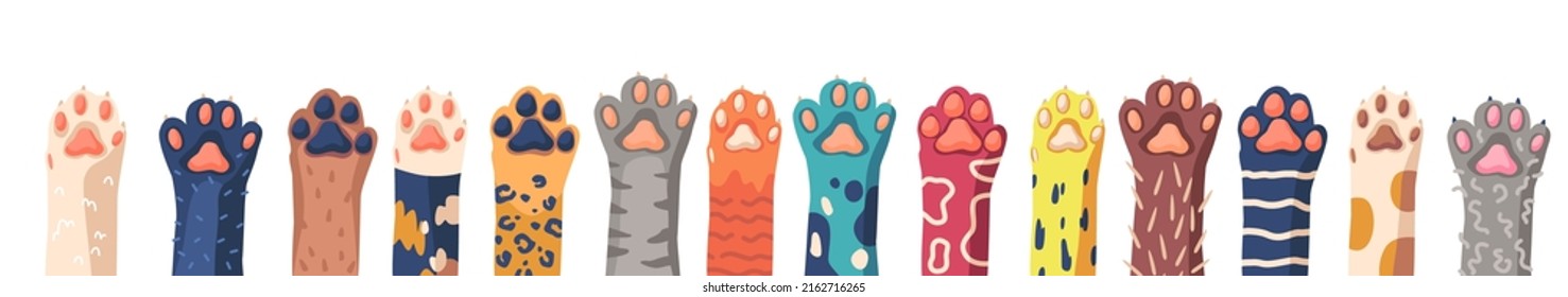 Group Of Funny Mixed Breed Cat Paws In Row Isolated On White Background. Animals Hands Raised Up. Elements For Pet Shop, Veterinary Clinic, Shelter Or Childish Design. Cartoon Vector Illustration