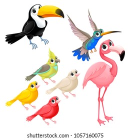 Group of funny tropical birds. Vector cartoon isolated characters