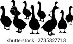 A group of geese standing together in a silhouette against a white background, showcasing their distinctive shapes and postures.