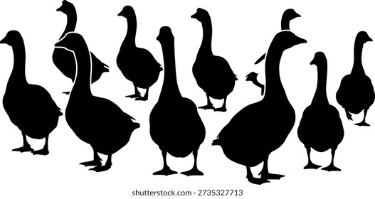 A group of geese standing together in a silhouette against a white background, showcasing their distinctive shapes and postures.