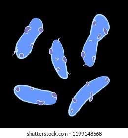 Group of Gemmatimonadetes bacterias on black background, vector illustration