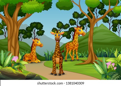 A group of giraffe enjoying in the forest