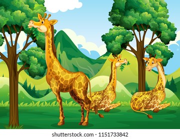Un grupo de jirafas en ilustración forestal