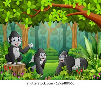 A group of gorillas with a view of the green forest