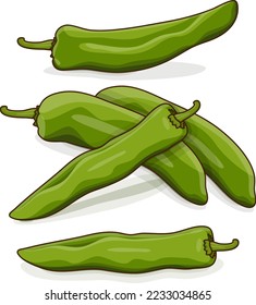 Group of Green anaheim peppers. New Mexico peppers. Capsicum annuum. Chili pepper. Fresh organic vegetables. Cartoon style. Vector illustration isolated on white background.