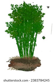 A group of green bamboo, without background