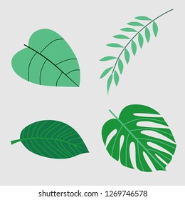 group of green leaves