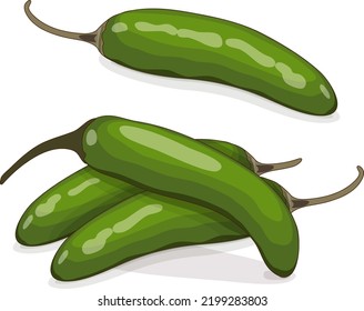 Group of green serrano Chile peppers. Chile serrano or serrano chilis. Chili pepper. Capsicum annuum. Vegetables. Cartoon style. Vector illustration isolated on white background.