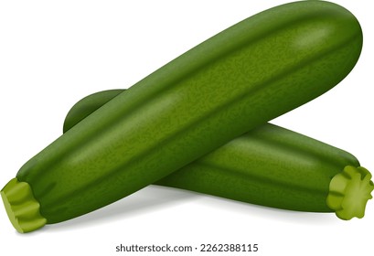 Group of Green Zucchini. Courgette or marrow. Summer squash. Cucurbita pepo or cucubits. Fresh, organic, raw fruits and vegetables. Vector illustration isolated on white background.