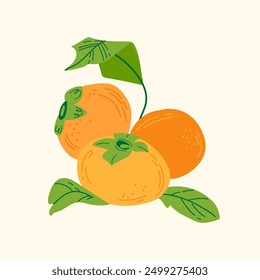 Group of hachiya persimmon fruit vector hand drawn illustration. Colorful art garden botanical elements isolated on white background