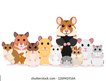 group of hamsters