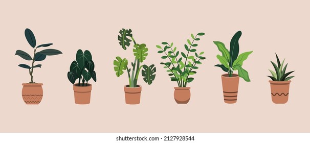 Group of Hand Drawn Flat Potted Houseplants illustration