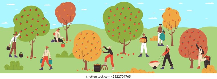 Group harvesting process. Cartoon farmers picking fruits from garden trees. Men and women collecting apple harvest in orchard. Agricultural workers. Natural food