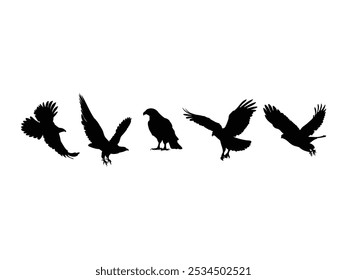 Grupo de Hawk Silhueta isolado fundo branco. Ilustração de vetor