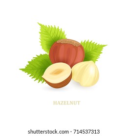 group of hazelnuts with leaves on white background for your design