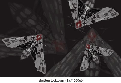 Group of death´s head hawk moths, vector illustration