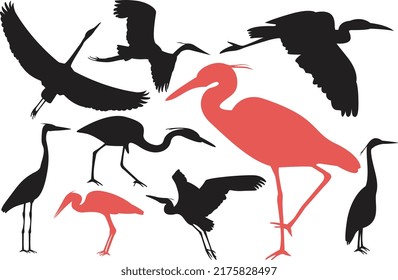 Group of Heron silhouette set. Vector illustration