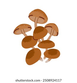 Group of honey fungus icon. Autumnal raw stump mushrooms in hand drawn style. Autumn boletus, fungi for eating. Edible bolete, fall forest food. Flat isolated vector illustration on white background