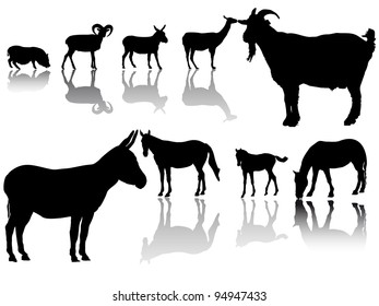  group of hoofed animals with shadows