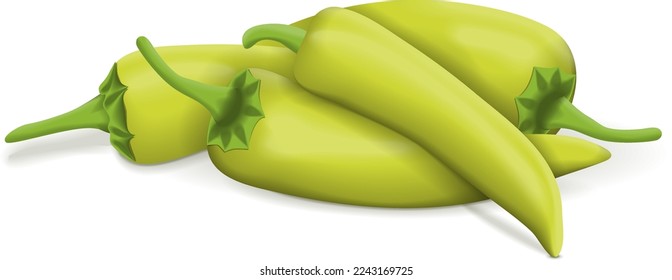 Group of Hungarian Chile Peppers. Hungarian wax pepper. Hot Wax pepper. Capsicum annuum. Chili pepper. Fresh organic vegetables. Vector illustration isolated on white background.