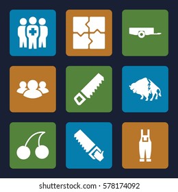 group icon. Set of 9 group filled icons such as barrow, buffalo, Cherry, puzzle, saw
