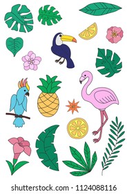 Group of individual elements, tropical flowers, birds and leaves. Tropical Collection with plants elements - leaf, flowers. Botanical illustration isolated on white background.