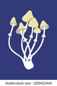 A group of inedible poisonous mushrooms. Ingredient for culinary dishes of Japanese and Chinese cuisine. Forest mushrooms in the style of flat contour graphics. Organic product for vegetarians.