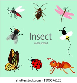The group of insect on the green background.