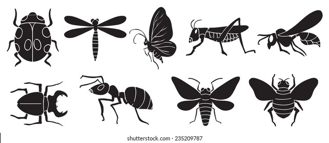 A group of insects on a white background 