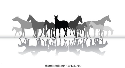 Group of isolated black and grey standing silhouettes of horses (mares and foals)  with their reflection on white background. Vector illustration.