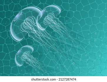A group of jellyfish swimming in clear water. Background